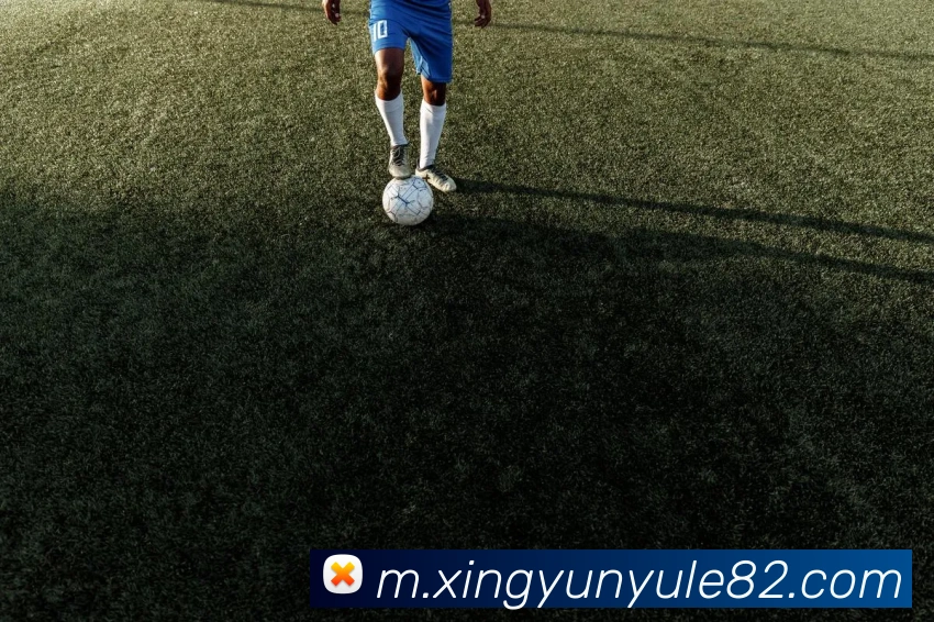 多终端兼容